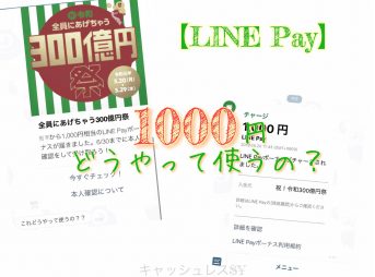 【LINE Pay300億円キャンペーン】1000円はどうやって使うの？